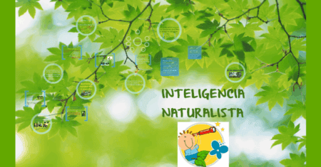 “O que é Inteligência Naturalista e Suas Funções: Descubra Como Essa Habilidade Pode Transformar Seu Conhecimento!”