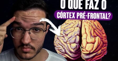 “Como Se Aprende com o Córtex Frontal: Descubra em Quantos Dias Você Pode Transformar Seu Aprendizado!”